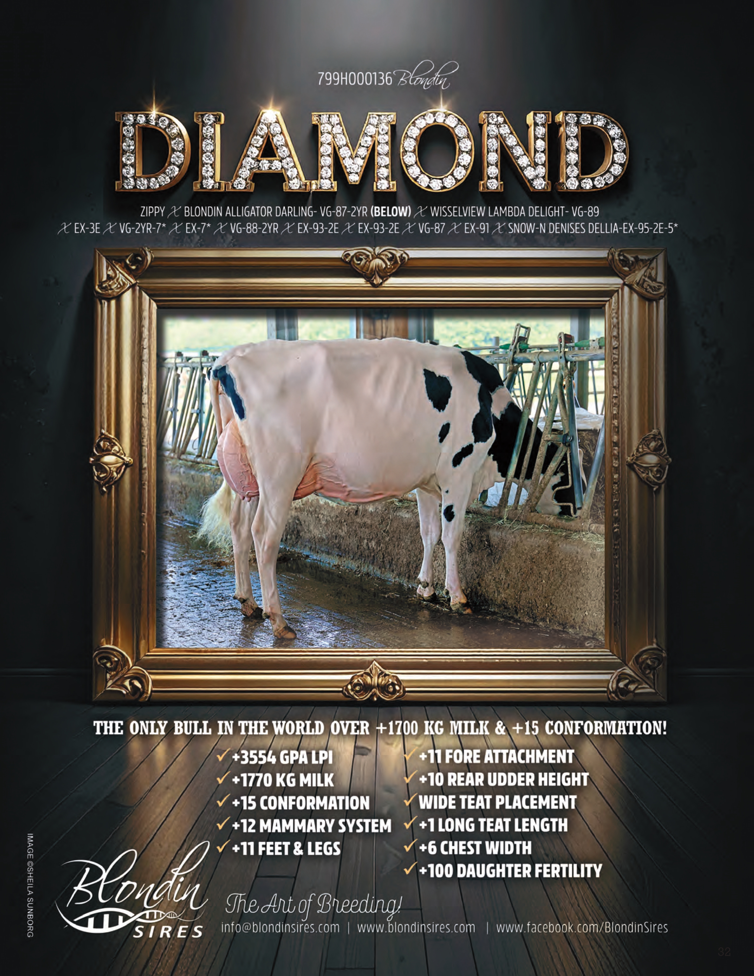 DIAMOND — 799HO00136